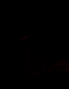 Night Light Photo